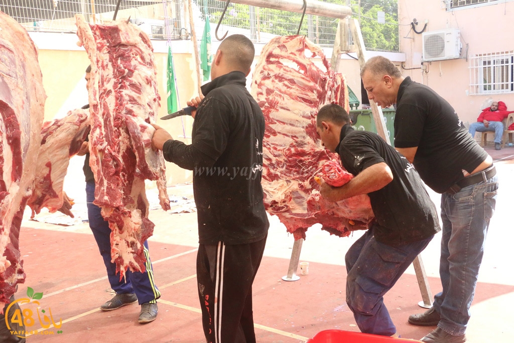 ada7y forthei (67).JPG